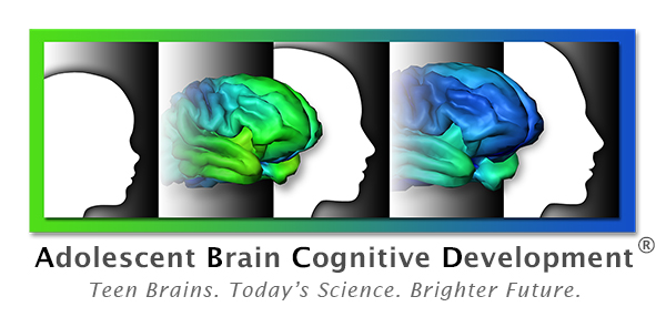 Profile faces with 2 brain images and text: Adolescent Brain Cognitive Development Study